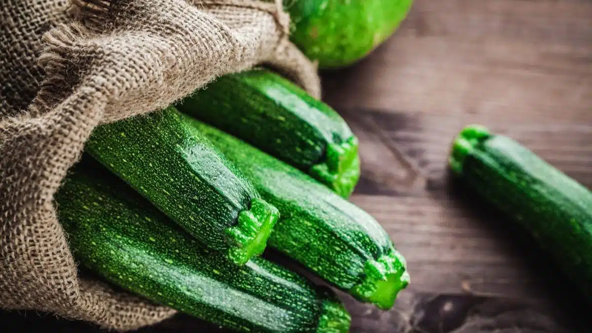 Comment éviter l'amertume des courgettes fraîchement cueillies