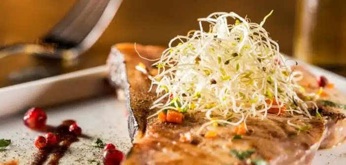 La cuisine sous-marine comment bien préparer un pavé d'espadon
