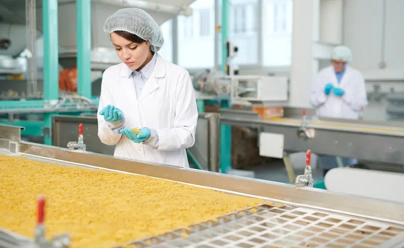 Offres d’emploi en agroalimentaire où les trouver facilement