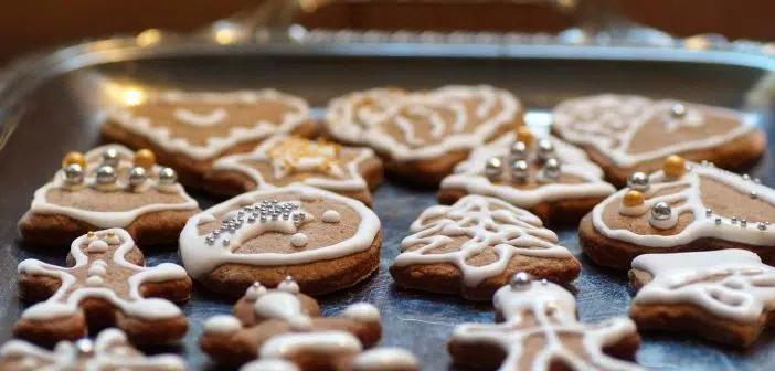 Comment bien choisir ses biscuits de nos jours ?